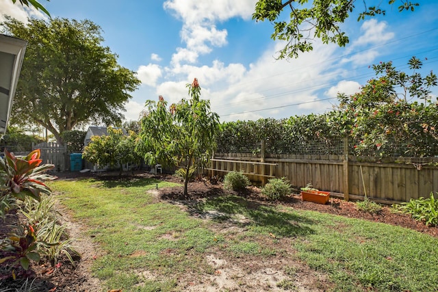 view of yard