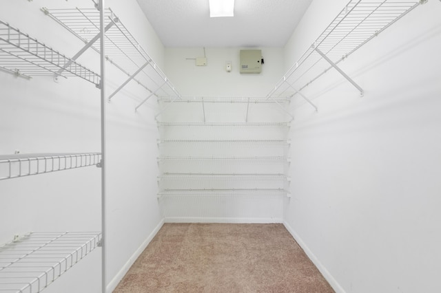 walk in closet with carpet