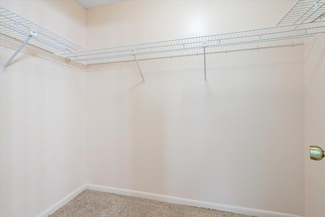 spacious closet featuring light carpet