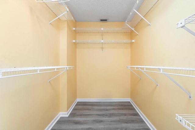 walk in closet featuring wood finished floors