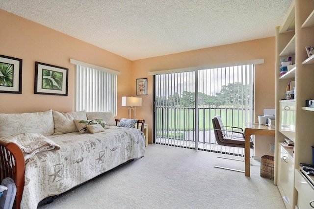 5218 Fountains Dr S Unit 206, Lake Worth, FL 33467 - carpeted bedroom featuring access to exterior and a textured ceiling