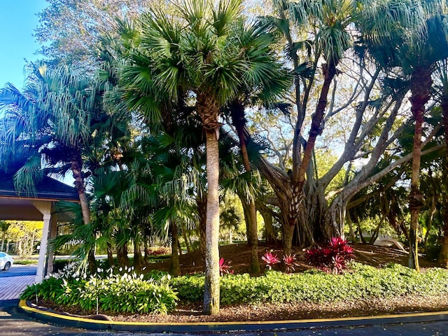 view of home's community