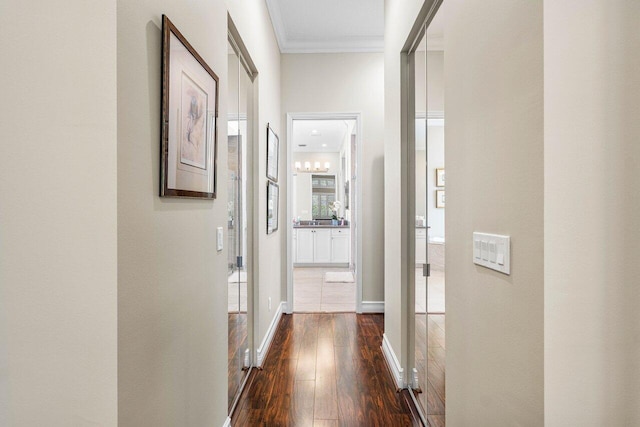 9037 Golden Mountain Cir, Boynton Beach, FL 33473 - hall with ornamental molding, dark wood-style floors, and baseboards