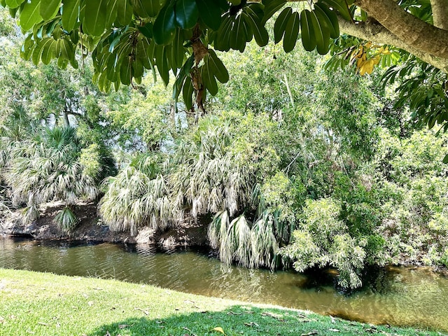 water view