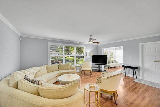 4585 NW 3rd St Unit D, Delray Beach, FL 33445 - living area featuring a ceiling fan, ornamental molding, and light wood finished floors
