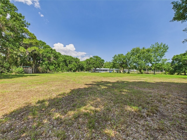 view of grassy yard