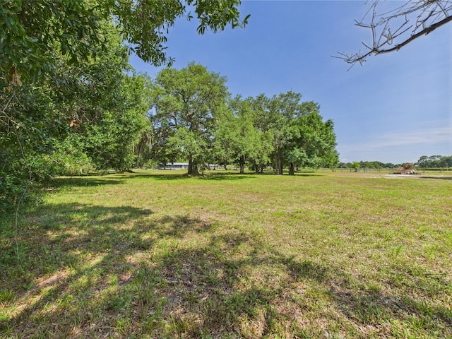 view of grassy yard