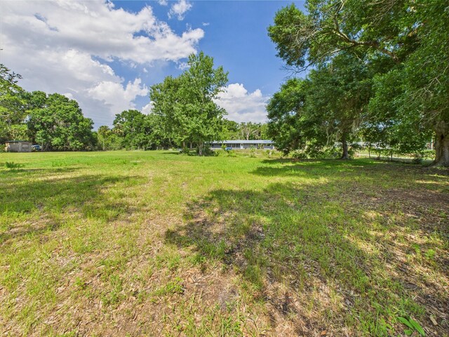 view of grassy yard