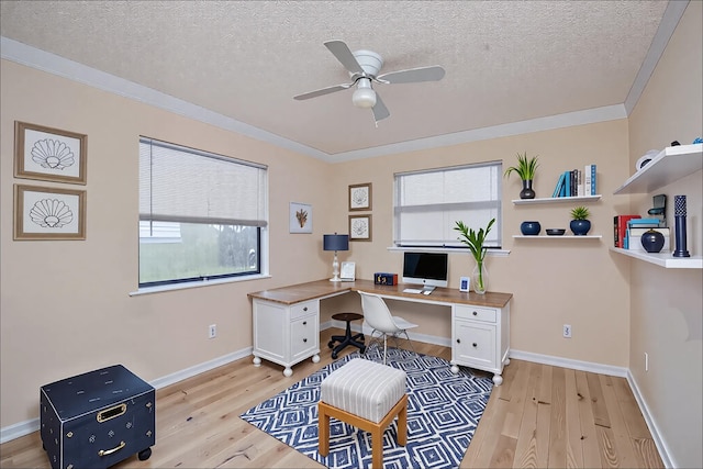 5123 Adams Rd, Delray Beach, FL 33484 - home office with light wood-style floors, a textured ceiling, ceiling fan, baseboards, and ornamental molding