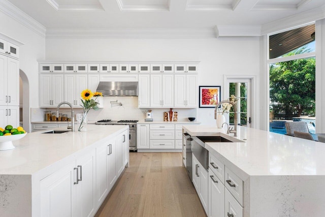 155 SE Spanish Trl, Boca Raton, FL 33432 - kitchen with a spacious island, a sink, wall chimney exhaust hood, ornamental molding, and coffered ceiling