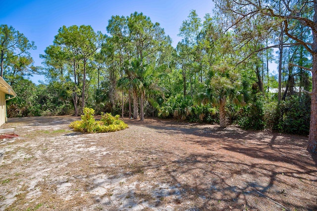 11473 154th Rd N, Jupiter, FL 33478 - view of yard