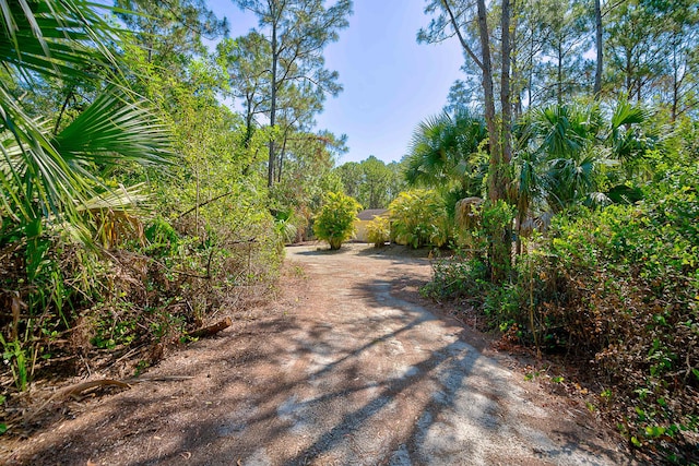 11473 154th Rd N, Jupiter, FL 33478 - view of dirt / gravel road