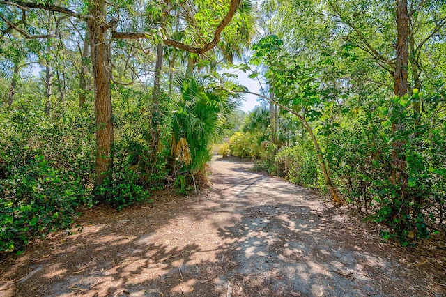 11473 154th Rd N, Jupiter, FL 33478 - view of street