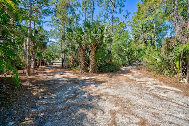 11473 154th Rd N, Jupiter, FL 33478 - view of street
