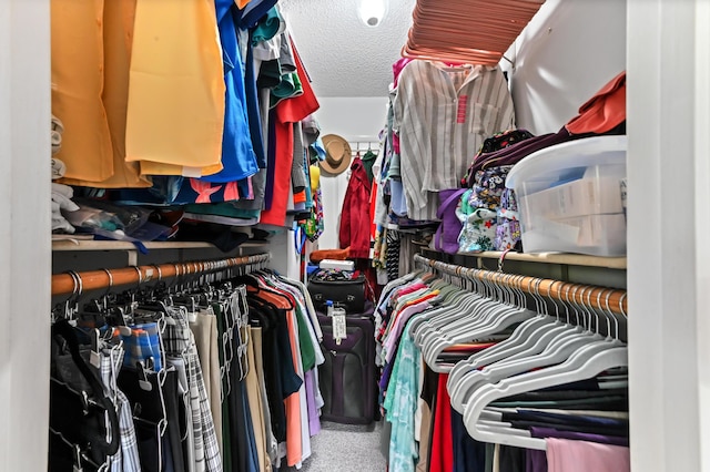 3001 SE Aster Ln Unit 908, Stuart, FL 34994 - walk in closet featuring carpet