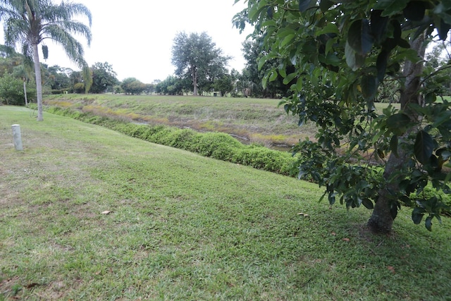 view of green lawn
