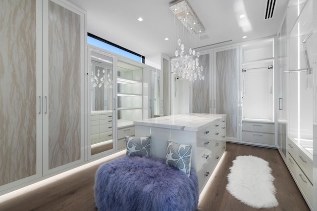 spacious closet featuring dark wood-type flooring