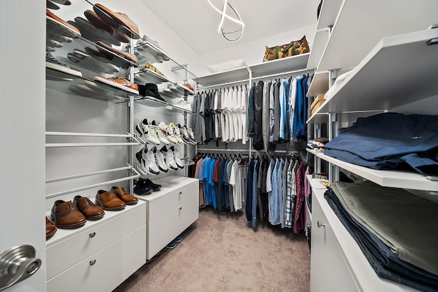 spacious closet featuring carpet flooring