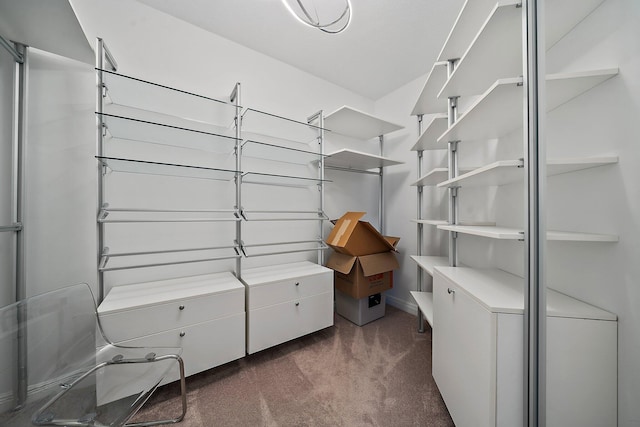 walk in closet featuring dark carpet