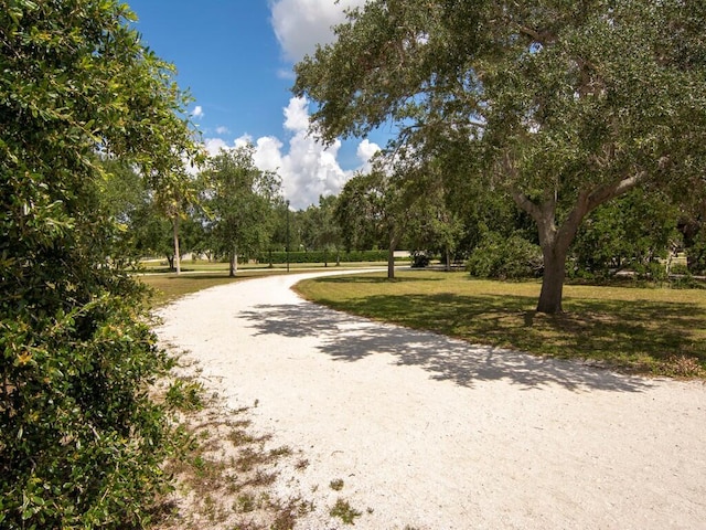 view of property's community featuring a lawn and view of scattered trees