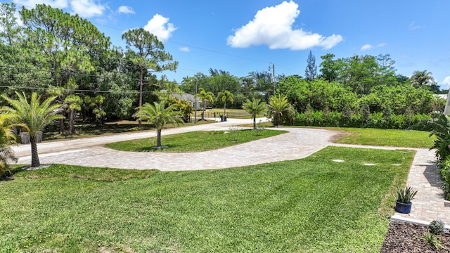 view of property's community featuring a lawn and driveway