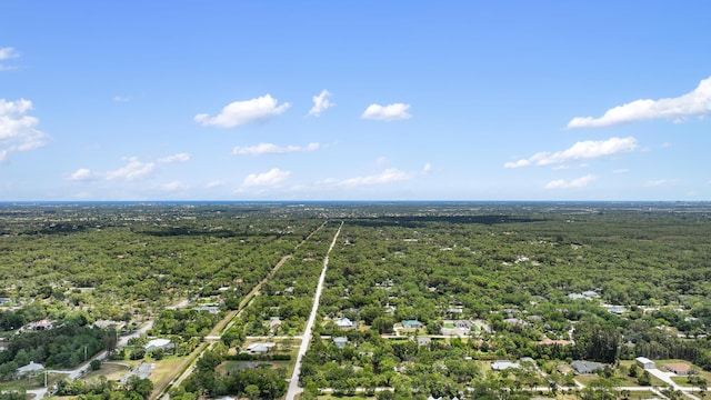 bird's eye view of a forest