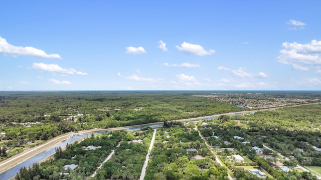 drone / aerial view of a forest and a large body of water