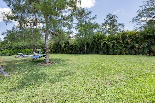 view of grassy yard