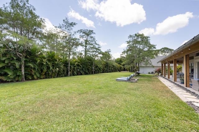 view of green lawn