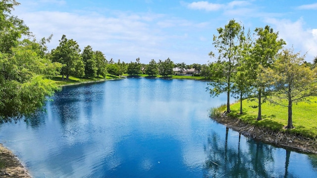 5021 Magnolia Bay Cir, Palm Beach Gardens, FL 33418 - water view