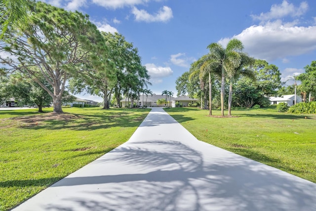 surrounding community featuring driveway and a yard