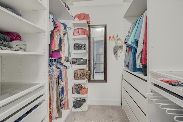 3009 Hop Tree Way, Riviera Beach, FL 33410 - walk in closet with carpet flooring