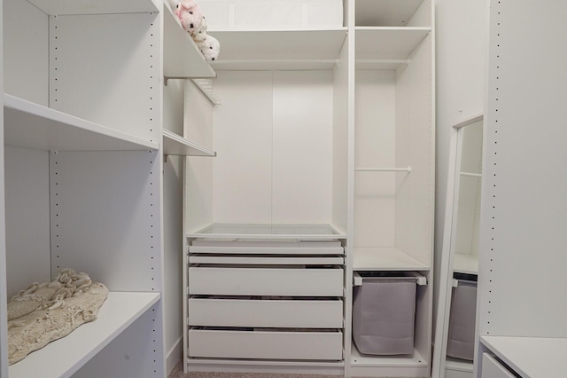 3009 Hop Tree Way, Riviera Beach, FL 33410 - view of walk in closet
