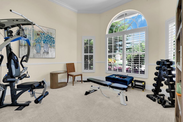 8380 Woodsmuir Dr, West Palm Beach, FL 33412 - exercise area with carpet floors, ornamental molding, and baseboards