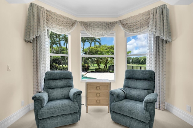 8380 Woodsmuir Dr, West Palm Beach, FL 33412 - living area with carpet flooring, ornamental molding, baseboards, and plenty of natural light