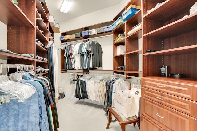 8380 Woodsmuir Dr, West Palm Beach, FL 33412 - spacious closet with carpet floors