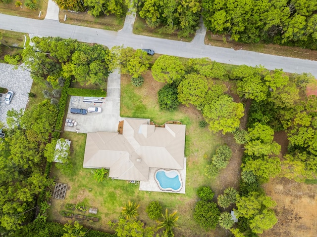 aerial view of a pool