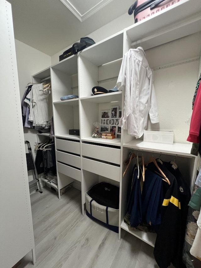 13044 Anthorne Ln, Boynton Beach, FL 33436 - walk in closet with light wood-type flooring