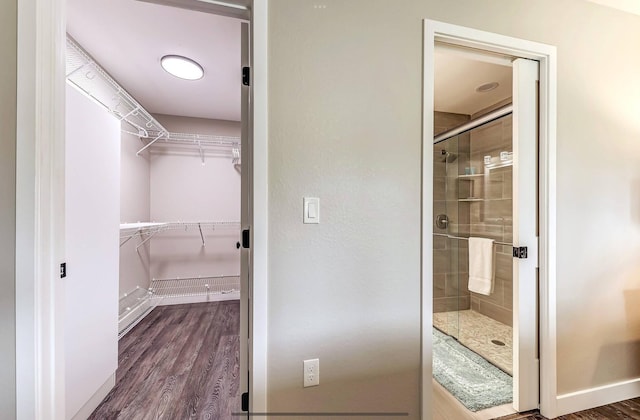 walk in closet featuring dark wood finished floors