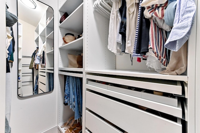 view of spacious closet
