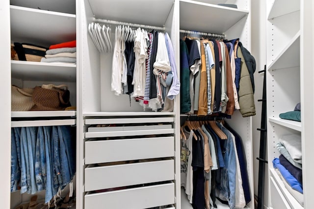 view of walk in closet