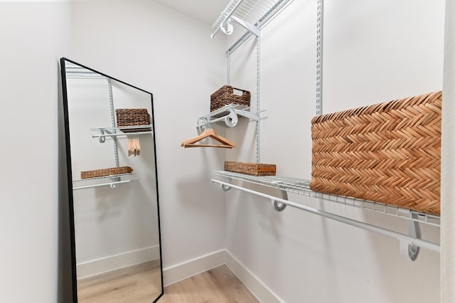 spacious closet featuring light wood finished floors
