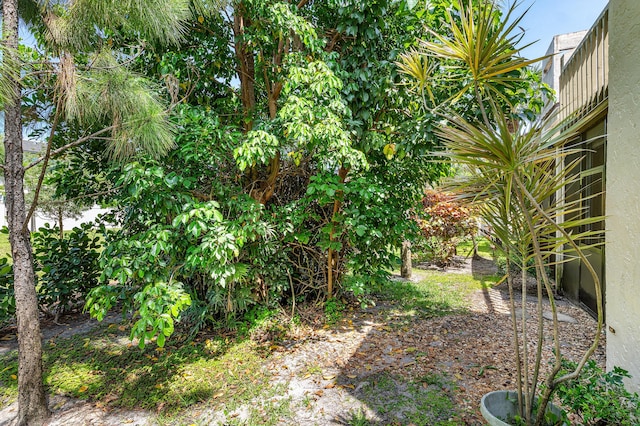 22924 Ironwedge Dr, Boca Raton, FL 33433 - view of yard
