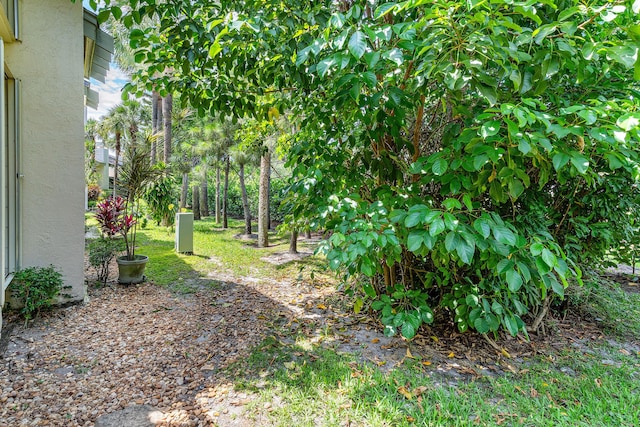 22924 Ironwedge Dr, Boca Raton, FL 33433 - view of yard