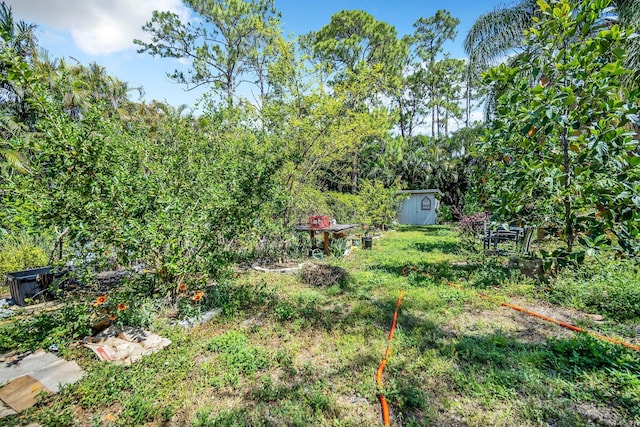 view of yard with a storage shed and an outdoor structure