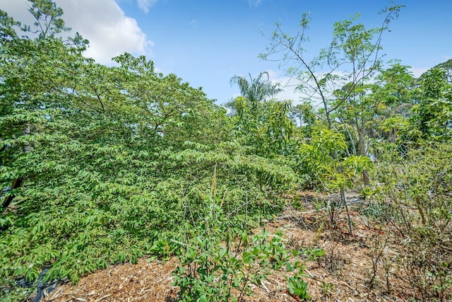 view of nature