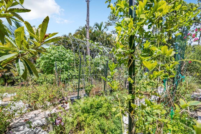 view of undeveloped land