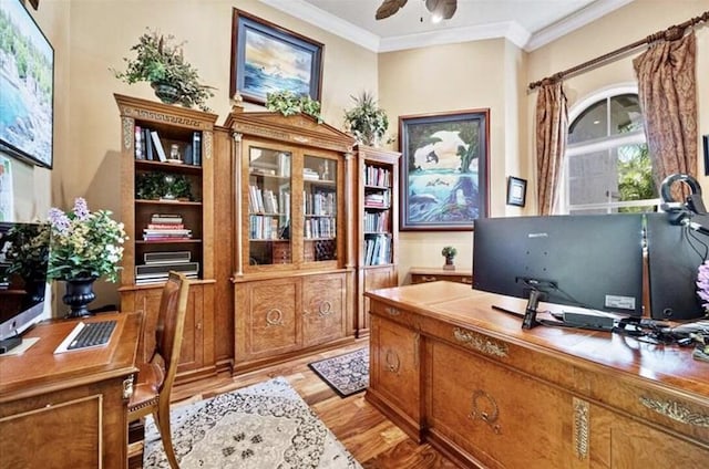 office featuring a ceiling fan, light wood-style flooring, and ornamental molding