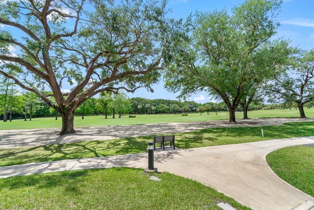 view of community with a yard