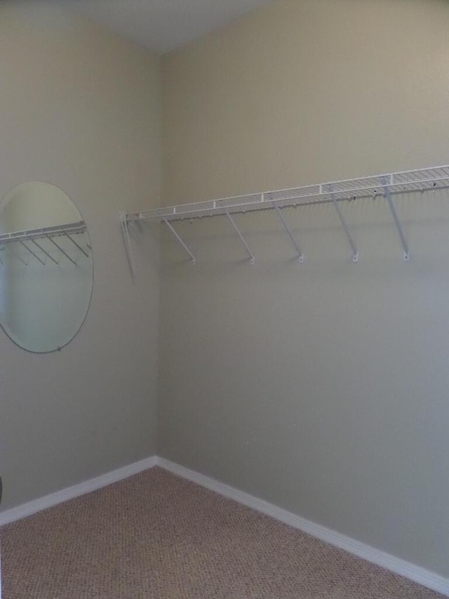walk in closet with carpet floors